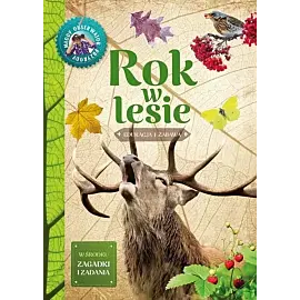Rok w lesie