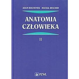 Anatomia człowieka. Tom 2