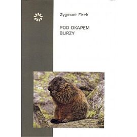 Pod okapem burzy