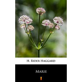 Marie (e-book)