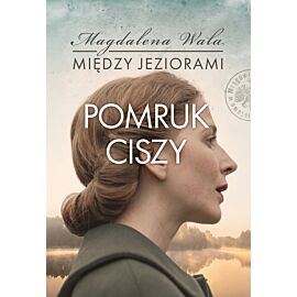 Pomruk ciszy (e-book)