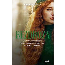 Bezdroża
