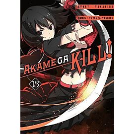 Zabójcza Akame (Akame ga Kill) - 13