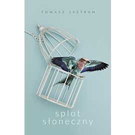 Splot słoneczny (e-book)
