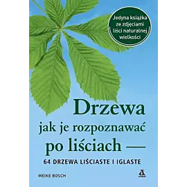 Drzewa jak je rozpoznawać po liściach