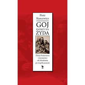 Goj patrzy na Żyda (e-book)