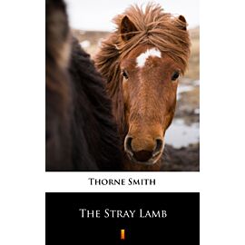 The Stray Lamb (e-book)
