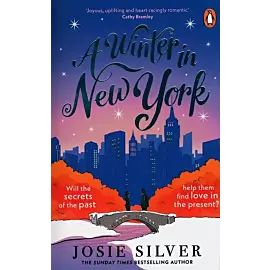 A Winter in New York