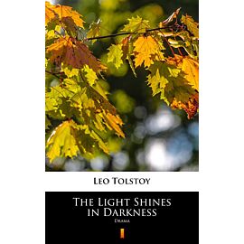 The Light Shines in Darkness (e-book)