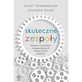 Skuteczne zespoły (e-book)