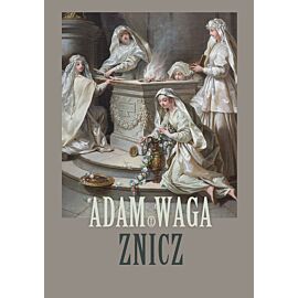 Znicz (e-book)