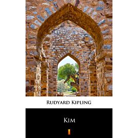 Kim (e-book)