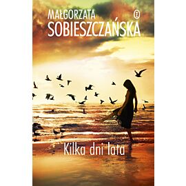 Kilka dni lata (e-book)