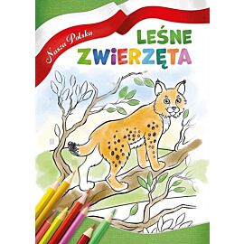 Leśne zwierzęta. Nasza polska