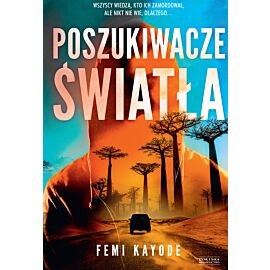 Poszukiwacze światła (e-book)