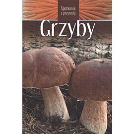 Grzyby spotkania z przyrodą