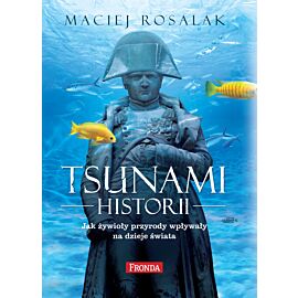Tsunami historii (e-book)