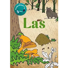 Las. Kolorowanka
