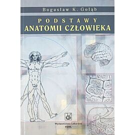 Podstawy anatomii człowieka