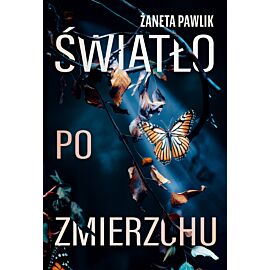 Światło po zmierzchu (e-book)