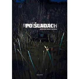 Po śladach