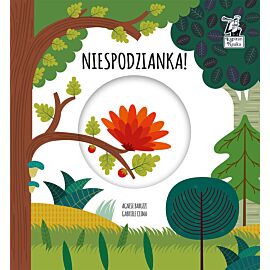 Niespodzianka. Magiczne koło. Kapitan Nauka