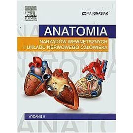 Anatomia narządów wewnętrznych i układu nerwowego człowieka