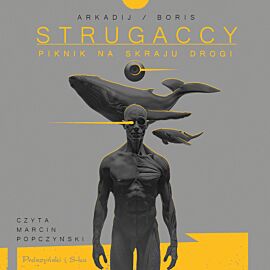 Piknik na skraju drogi (audiobook MP3)