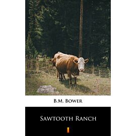 Sawtooth Ranch (e-book)