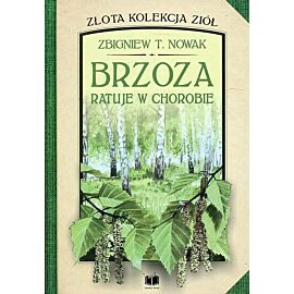 Brzoza ratuje w chorobie