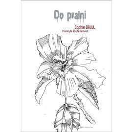 Do pralni