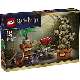 LEGO Harry Potter Rośliny z lekcji zielarstwa w Hogwarcie 76474