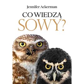 Co wiedzą sowy?