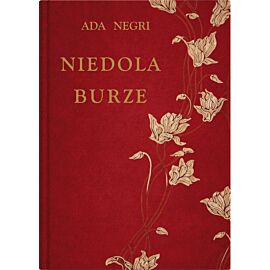Niedola burze