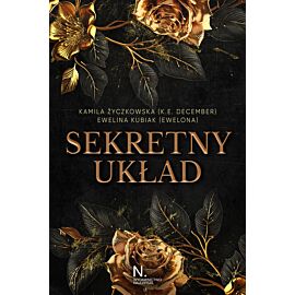 Sekretny układ (e-book)