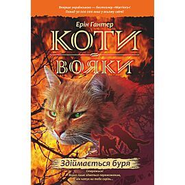 Здіймається буря (e-book)