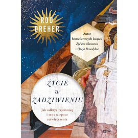 Życie w zadziwieniu (e-book)