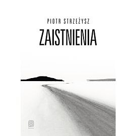 Zaistnienia (e-book)