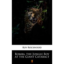 Bomba, the Jungle Boy at the Giant Cataract (e-book)