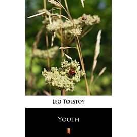 Youth (e-book)