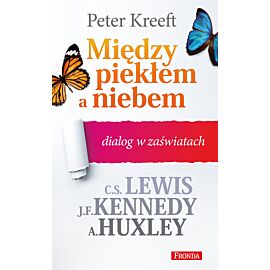Między piekłem a niebem dialog w zaświatach (e-book)