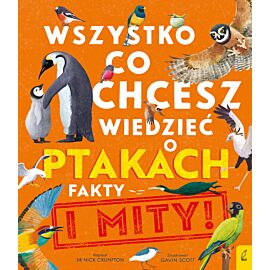 Wszystko, co chcesz wiedzieć ptakach