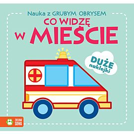 Nauka z grubym obrysem. Co widzę w mieście