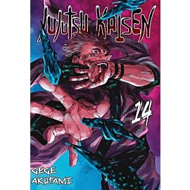 Jujutsu Kaisen - 14