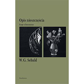 Opis nieszczęścia. Eseje o literaturze