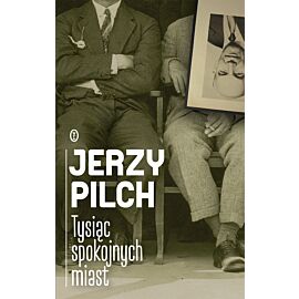 Tysiąc spokojnych miast (e-book)
