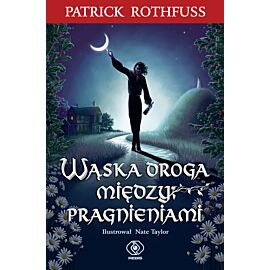 Wąska droga między pragnieniami (e-book)