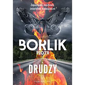 Drudzy (e-book)