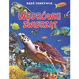 Wędrówki zwierząt