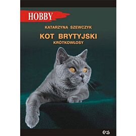 Kot brytyjski krótkowłosy wyd. 2